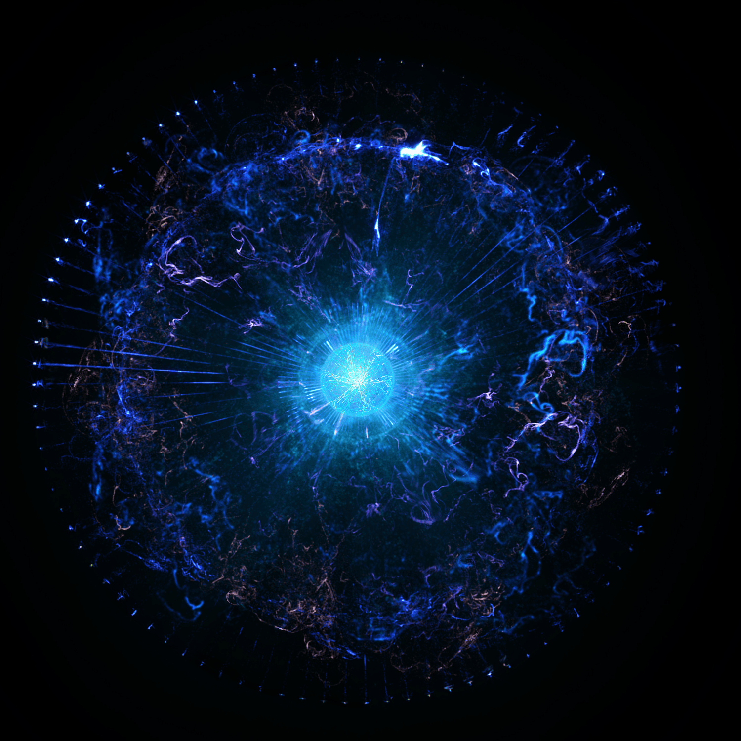 Case Study Image-2443